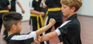 Wing Chun Kung Fu voor Kinderen bij Vechtsportschool in regio Rijswijk - Delft - Den Haag